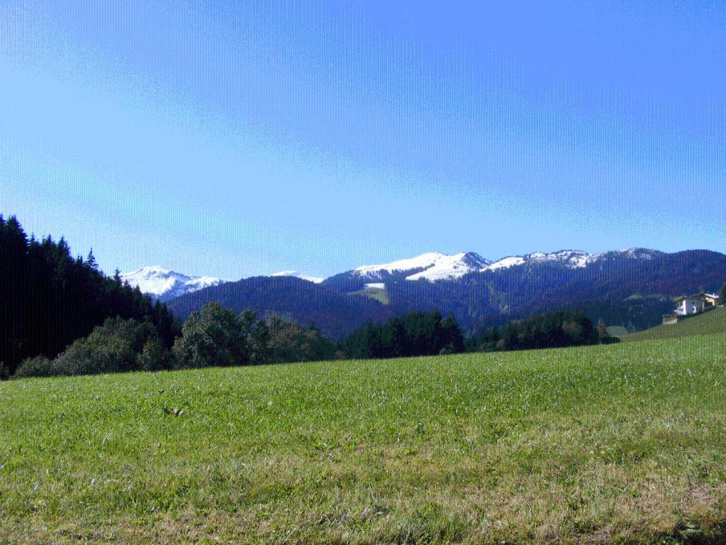 Landgasthof Dorferwirt Oberau Rum bild
